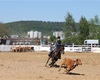 Rodeo 2011 - už na ně došlo - to je "oddělování dobytčete"