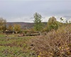 Kácení u řeky, 30.10.2020