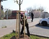 Předání jarní výsadby 56 dřevin, 30.4.2021