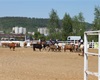 Rodeo 2011 - už na ně došlo - to je "oddělování dobytčete"