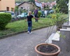 Předávání nových stromů a keřů z letošní jarní výsadby, 4.5.2022