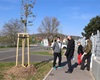 Předání jarní výsadby 56 dřevin, 30.4.2021
