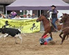 Velké radotínské rodeo o senátorský pohár, 23.5.2015