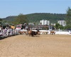Rodeo 2011 - už na ně došlo - to je "oddělování dobytčete"