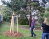 Předávání nových stromů a keřů z letošní jarní výsadby, 4.5.2022