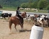 Velké radotínské rodeo o senátorský pohár, 21.5.2016
