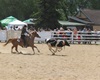 Velké radotínské rodeo o senátorský pohár, 21.5.2016
