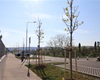 Předání jarní výsadby 56 dřevin, 30.4.2021