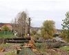 Kácení u řeky, 30.10.2020