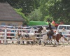 Velké radotínské rodeo o senátorský pohár, 21.5.2016
