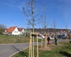 Předání jarní výsadby 56 dřevin, 30.4.2021