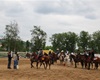 Velké radotínské rodeo o senátorský pohár, 20.5.2017