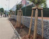 Předávání nových stromů a keřů z letošní jarní výsadby, 4.5.2022