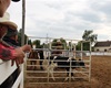 Velké radotínské rodeo o senátorský pohár, 23.5.2015
