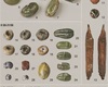 Nálezy z pohřebiště. Zdroj: Monografie dr. Zdeňky Krumphanzlové a kol.: "Raně středověké pohřebiště v Praze-Lahovicích", Muzeum hlavního města Prahy, 2013. Nálezy z pohřebiště. Zdroj: Monografie dr. Zdeňky Krumphanzlové a kol.: "Raně středověké pohřebiště v Praze-Lahovicích", Muzeum hlavního města Prahy, 2013.