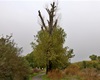 Uzavření cyklostezky, 15.10.2020