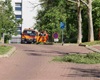 Blokové čištění v okolí Věštínské ulice, 19.5.2022