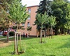 Dobrovolní hasiči zalévají stromy; 14.8.2023