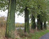 Uzavření cyklostezky, 15.10.2020