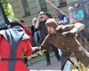 Královský průvod, 6.6.2015