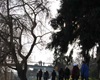 Horymírova jízda a zabijačkové hody, 1.3.2014
