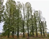 Uzavření cyklostezky, 15.10.2020