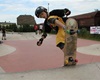 Skate Tour, 16.6.2014