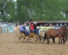 Velké radotínské rodeo, 5.5.2012