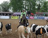 Velké radotínské rodeo o senátorský pohár, 23.5.2015