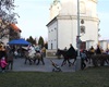 Horymírova jízda a zabijačkové hody, 1.3.2014