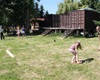 Velký dětský den, 7.6.2014