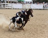 Velké radotínské rodeo o senátorský pohár, 21.5.2016
