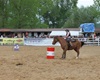 Velké radotínské rodeo, 5.5.2012