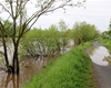 Berounka na prvním povodňovém stupni; 14.5.2021
