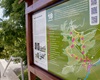 Probíhají poslední kontroly a dodělávky na Naučné stezce Radotín, 1.9.2022