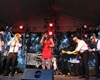 Havelské posvícení, Laura a její tygři, 11.10.2014