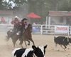 Velké radotínské rodeo o senátorský pohár, 21.5.2016
