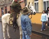 Horymír v Radotíně - recesistická akce Letopisecké komise Rady městské části Praha 16.<br />Foto: MČ Praha 16, Hana Jakubičková