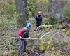 Kácení u řeky, 30.10.2020