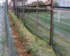 Předávání nových stromů a keřů z letošní jarní výsadby, 4.5.2022