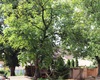 KKC Koruna; 15.6.2020