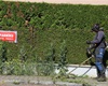 Blokové čištění, 13.6.2023, oblast okolo Výpadové