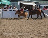 Velké radotínské rodeo, 8.6.2019