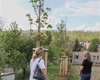 Předávání nových stromů a keřů z letošní jarní výsadby, 4.5.2022