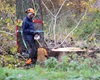 Kácení u řeky, 30.10.2020