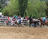 Velké radotínské rodeo o senátorský pohár, 20.5.2017