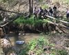 Vysazování pstruhů na Radotínském potoce 
Foto: Rybáři Praha 
