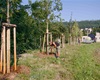 Probíhá další mohutná zálivka na jaře vysazených stromů a keřů, 22.7.2022