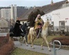 Vzhůru na radnici!, 29.2.2012