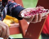 Home Food Festival, 3.9.2017